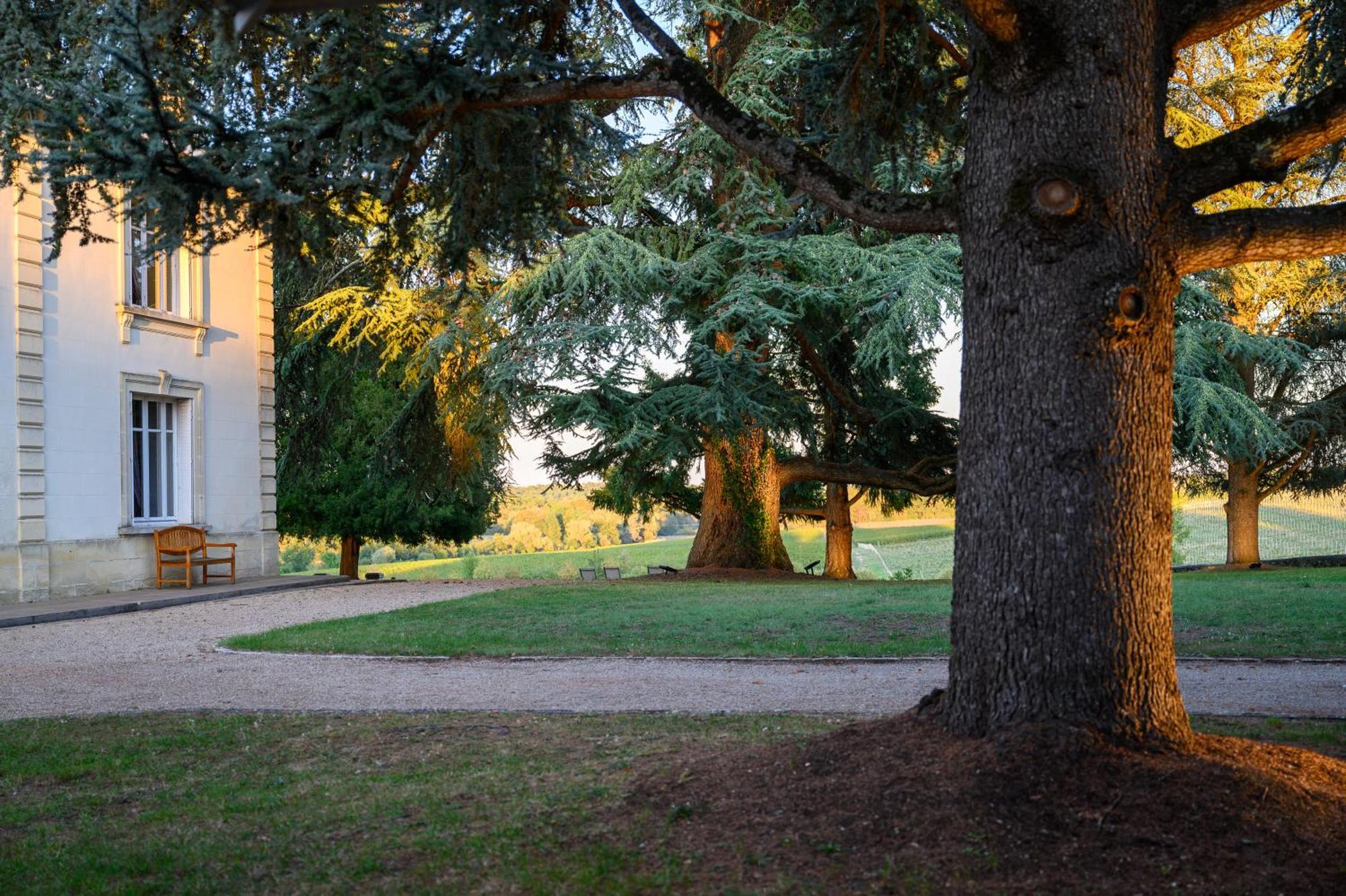 Pey La Tour - Logis Hotels & Restaurant Salleboeuf Экстерьер фото